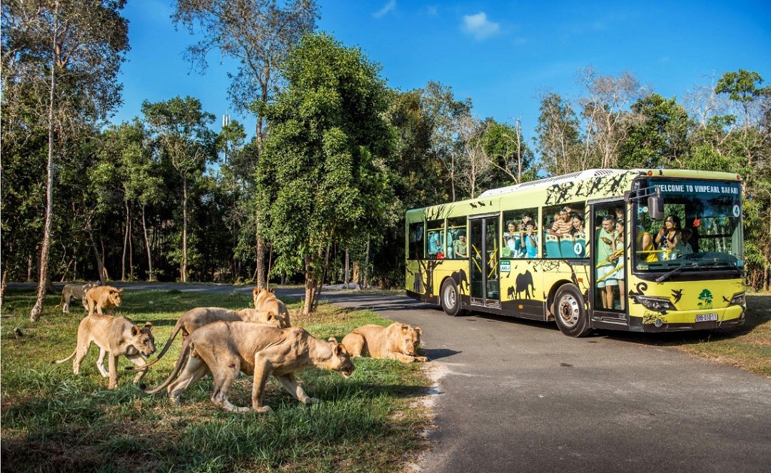 Tiện ích Vinhomes Green Paradise Cần Giờ