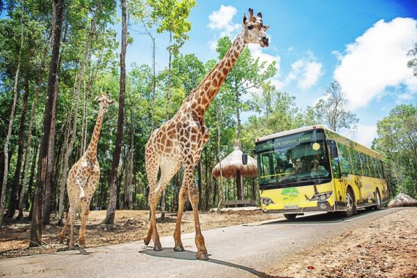 Safari Vinhomes Cần Giờ